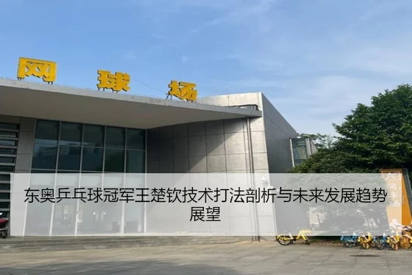 东奥乒乓球冠军王楚钦技术打法剖析与未来发展趋势展望